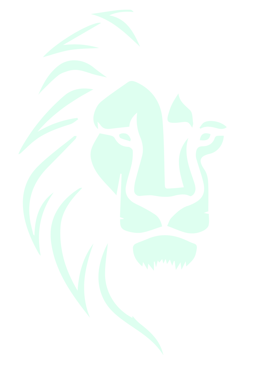 LionPay